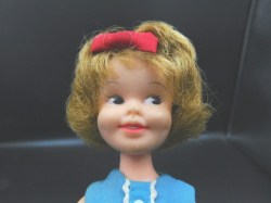 penny brite blue case face